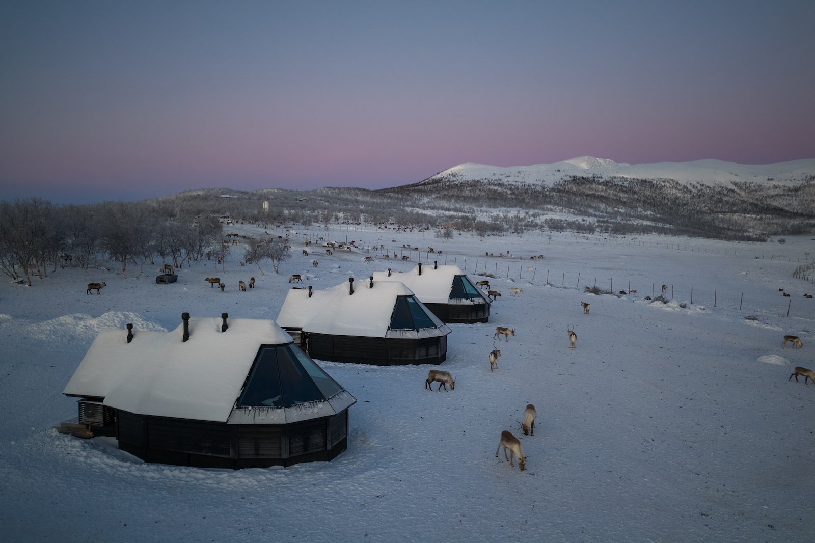 Snødekt lavvocamp sett ovenfra