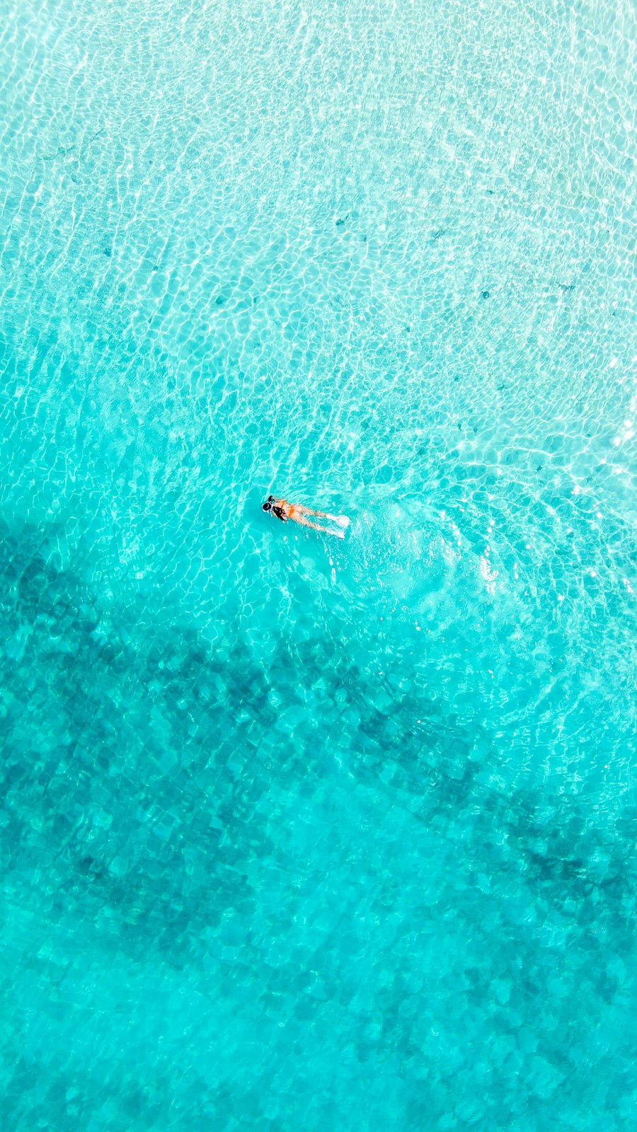 Arktisk floating